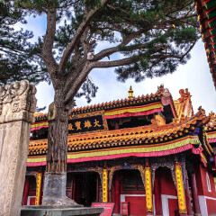 景点模块 