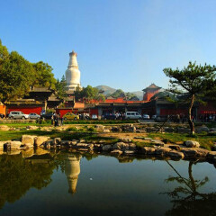 景点模块 