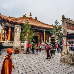 景点模块 