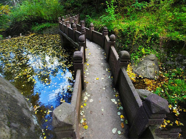  山西老牛湾-芦芽山-情人谷-马仑草原-悬棺栈道双高3日游>踏春赏青正