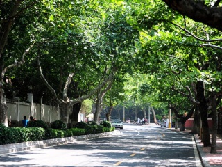 春节期间青岛旅游_去青岛旅游询价_深圳青岛旅游5天