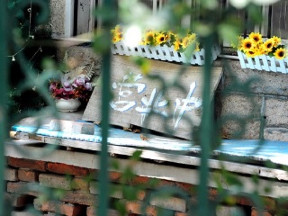 春节期间青岛旅游_去青岛旅游询价_深圳青岛旅游5天