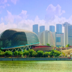 活动模块 
