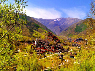 五台山+云冈石窟+平遥古城旅游旅行_五台山+云冈石窟+平遥古城旅游行程安排_五台山+云冈石窟+平遥古城十一日游旅游团