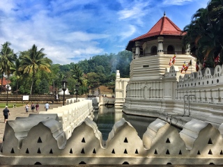 馬爾代夫游跟團多少錢2021_馬爾代夫游報價_8月馬爾代夫旅游