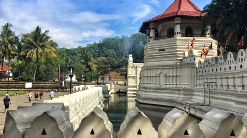 斯里兰卡机票+当地5晚7日游 香港当天转机 佛