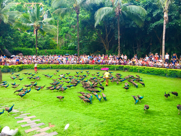 国庆节去西双版纳旅游必备物品?带什么东西?