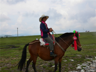 貴州游花多少錢(qián)_貴州旅游花多少錢(qián)_貴州2人旅游需要多少錢(qián)