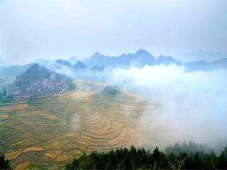 貴州游花多少錢(qián)_貴州旅游花多少錢(qián)_貴州2人旅游需要多少錢(qián)