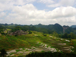 貴州游花多少錢(qián)_貴州旅游花多少錢(qián)_貴州2人旅游需要多少錢(qián)