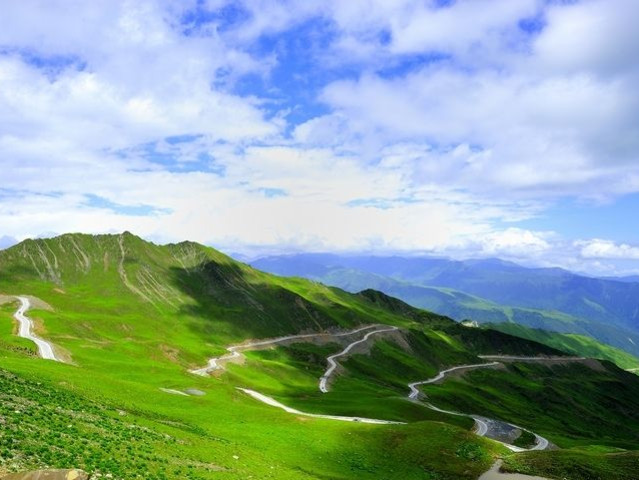 高山草甸