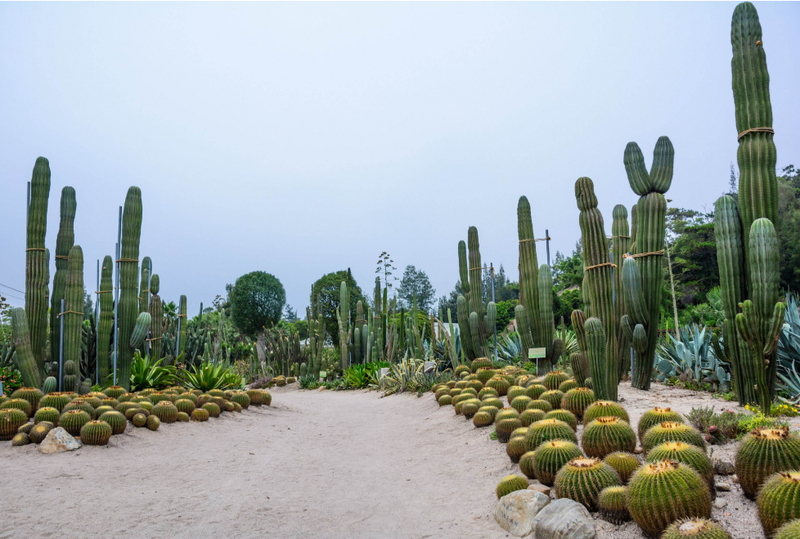 厦门园林植物园