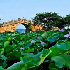景点模块 