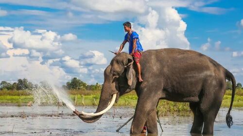 泰国普吉岛5晚6日半自助 8人小团 ATV越野车