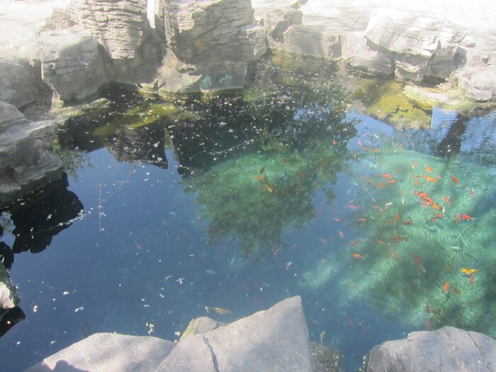 老倪两口子穷游山东(三)