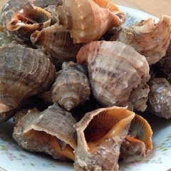 餐饮模块 