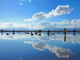 青海湖旅行團(tuán)_青海湖旅行團(tuán)自由行_2021去青海湖旅游團(tuán)報價