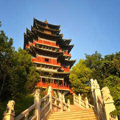 景点模块 