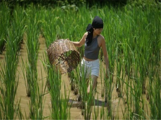 貴州游花多少錢(qián)_貴州旅游花多少錢(qián)_貴州2人旅游需要多少錢(qián)