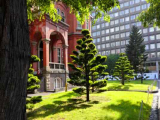 日本6日游旅行團_日本5日游價格_日本雙人六日游多少錢
