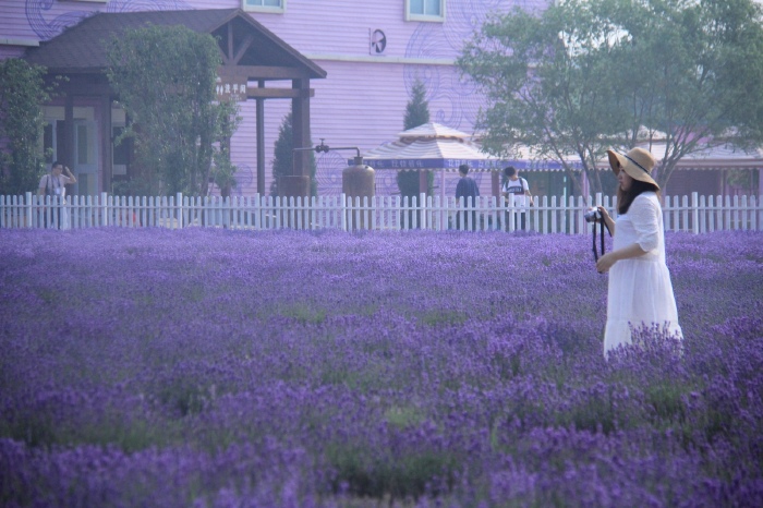 烈日炎炎,带上家人一起来北戴河渔岛海洋温泉