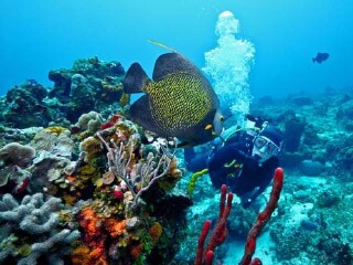 <上海直飞印度尼西亚-美娜多4晚5日游