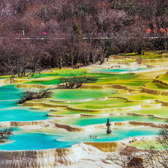 景点模块 