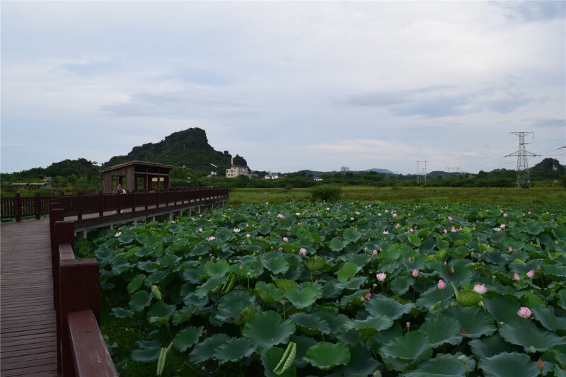 会仙河公园游记