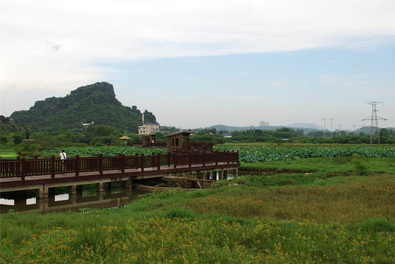 会仙河公园赏荷花游记_北流市游记_途牛