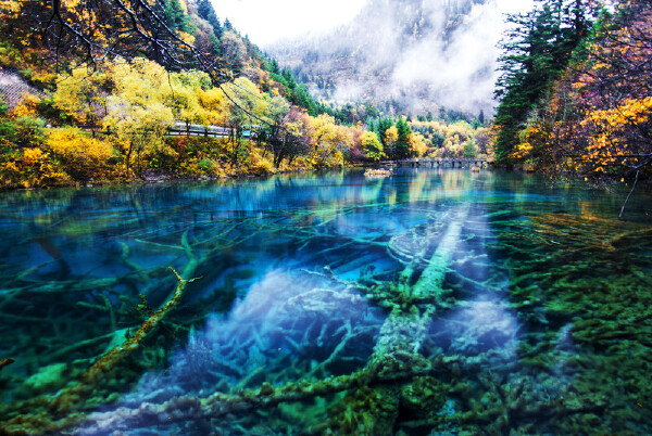 冬天去卡塔尔穿衣指南_冬天去卡塔尔穿什么衣