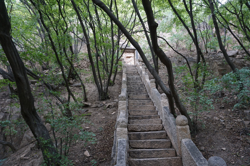 云峰山混搭薰衣草庄园_云峰山风景区游记_途牛