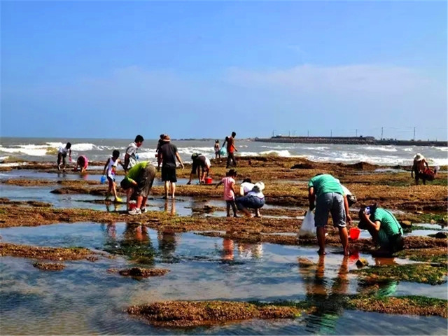 威海荣成赤山-西霞口动物园-隆霞湖2日游>无购物 升级住宿 带着孩子