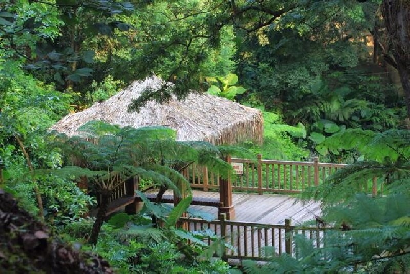 中国万石GDP多少_万石植物园(3)