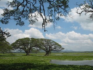 去斯里蘭卡旅游7天要多少錢_斯里蘭卡八月份旅游_斯里蘭卡旅游幾月份最好