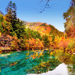 景点模块 
