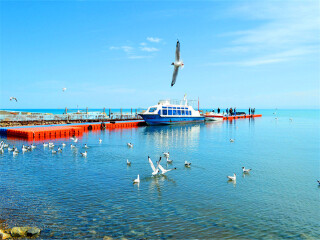 青海湖旅游組團_青海湖八月份旅游_青海湖旅游大約多少錢