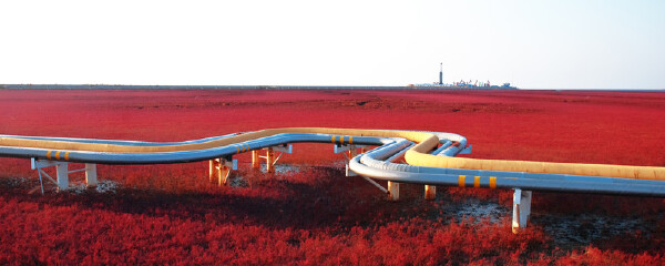 月去盘锦穿衣指南_十二月去盘锦穿什么衣服_