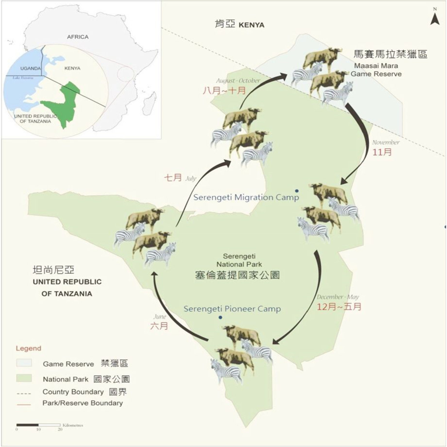 非洲人口迁移_10万年前现代人类开始走出非洲时人口数量还不到一百万 如今全(2)