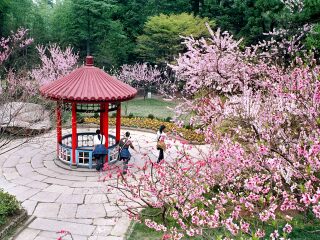 江西廬山旅游報價_跟團江西廬山旅游價格表_江西廬山自由行費用