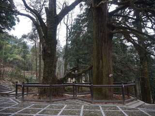 江西廬山旅游報價_跟團江西廬山旅游價格表_江西廬山自由行費用