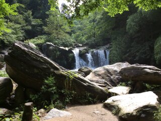 江西廬山旅游報價_跟團江西廬山旅游價格表_江西廬山自由行費用