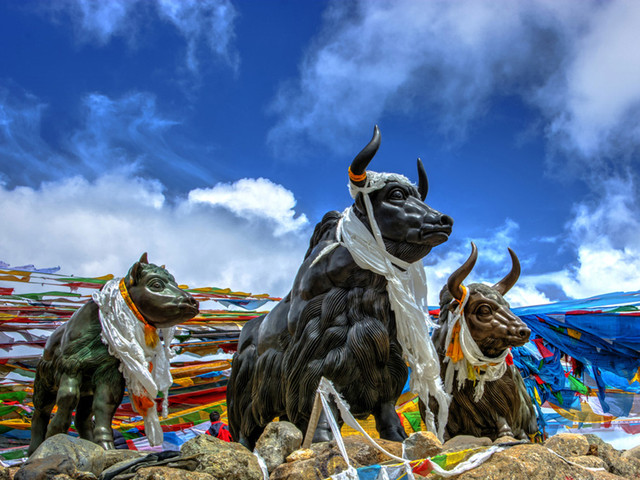 <西藏拉萨布达拉宫-林芝大峡谷索松村-巴松