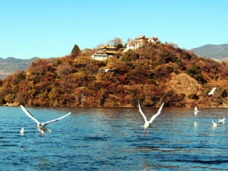 報團去云南麗江多少錢_2021去云南麗江旅游團報價_云南麗江自由行組團