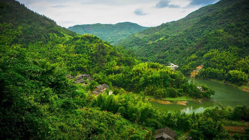 这样的小径,这样的风景,一派青山绿水万古长青的生机象