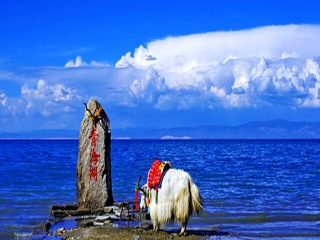甘肅敦煌旅游價(jià)格_現(xiàn)在到甘肅敦煌旅游多少錢_甘肅敦煌最適合旅游的季節(jié)