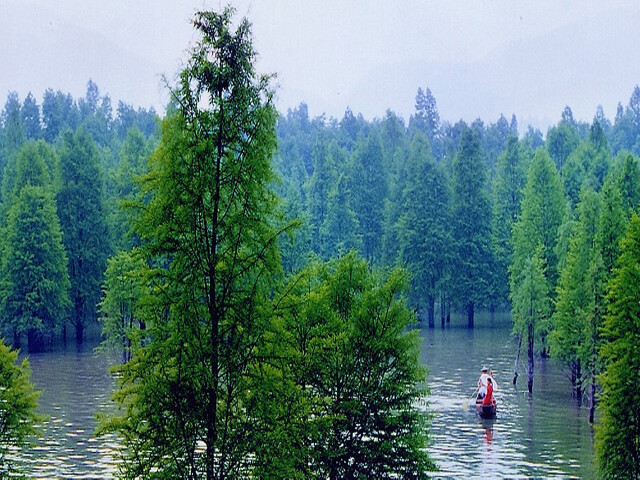 临安青山湖国家级水上森林公园