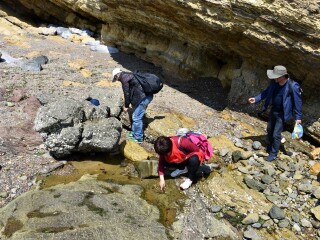 到大連旅游報團價格_大連自由行還是跟團好_大連游 旅行團