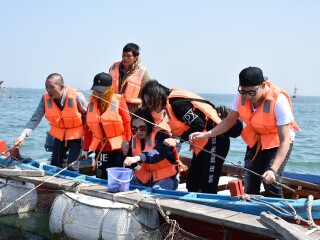 到大連旅游報團價格_大連自由行還是跟團好_大連游 旅行團