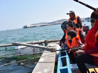 到大連旅游報團價格_大連自由行還是跟團好_大連游 旅行團