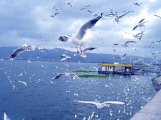 到云南西雙版納旅游多少錢_云南西雙版納自由行費(fèi)用_云南西雙版納旅游組團(tuán)